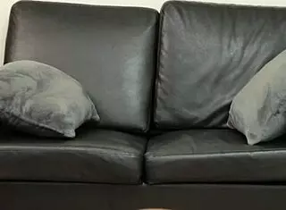 Samantha milf casting rough assfucking on sofa!