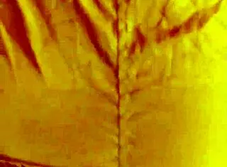 They FUCK my BIG ASS in mini skirt with 20cm dildo