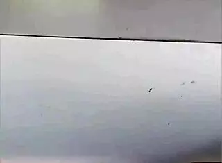 Three Hotties Enter Forest for Hairy Pussy Fun