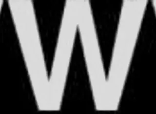 Dallas Escort Petite 18+ Bossbitch Offers Tryst Services via P411