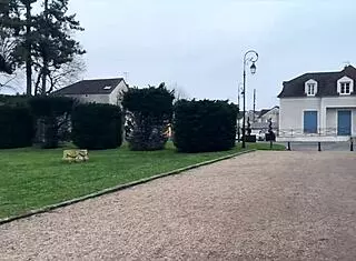 angela jolie in lingerie craving a blowjob