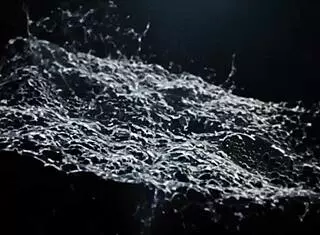 Hey, check out these czech babes using vibrator in piss play! 😏