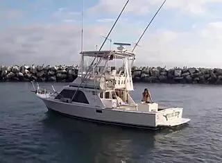 super shark sexy bikini girl