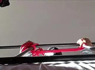 Bound and Hooded, Taking Cock with Moans?