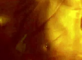 sexy belly dancing from exotic oriental woman having time