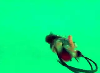 novinha ninja fucking karate student perfectly?