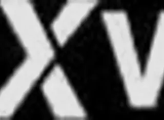 The office lady works hard at her desk every day.