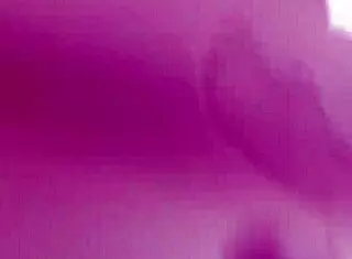 johannesburg amateur shows clit and pussy lips