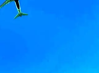 why did the old german tourist pick up this mexican latina for anal creampie?