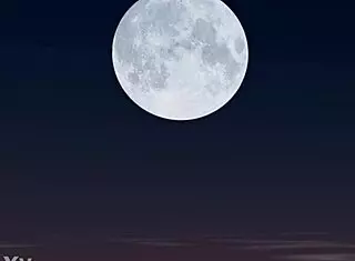 Kjus expresses thanks for new years special