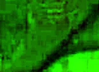 The Fisherman Season 5