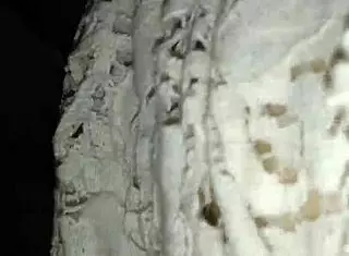 Ex girlfriend in stockings takes monster cock like a whore