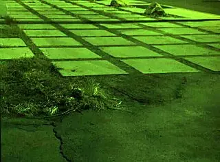 Stranded Teen Gets Rough Doggystyle and Cowgirl Outdoors