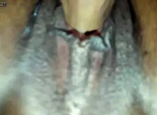 i lick her big ass pussy