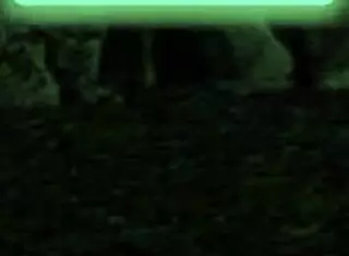 Let's explore Paradise Trails VR Part 2 together