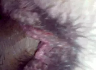 Rica cogida with amateurs in hardcore action