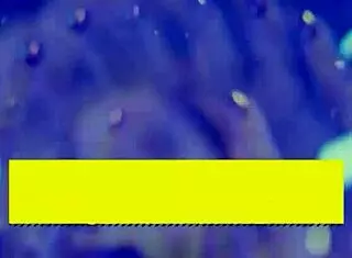 Sofi Ryan seduces Scott by the pool.