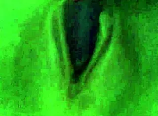 wet big pussy asian lesbian orgasm