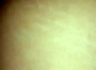 Hot Solangie Engages in Shemale Fun