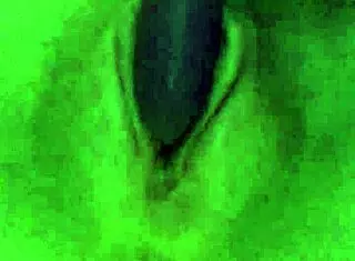 wet big pussy asian lesbian orgasm