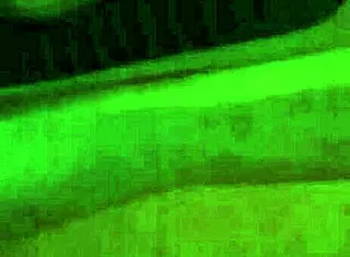 pendeja de bs as with tattoos and prostitute vibe