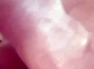 step sister gets fucked after bandhan with family out