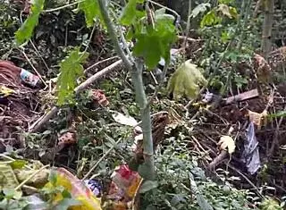 Crazy Horny Girl Climbing Hill!