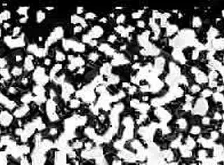 Step sisters, spread your legs for cum in backstage.