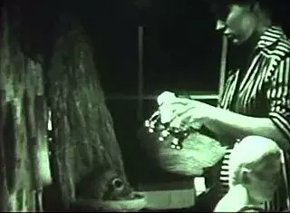 Dark Lantern Entertainment Presents Vintage Taboo Family Erotic Confessions