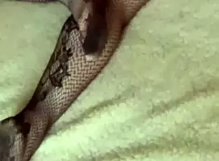 woken up with cum on sexy ass