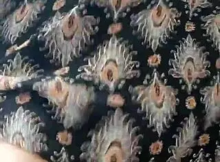 latina with curly hair fucks black dildo on big tits