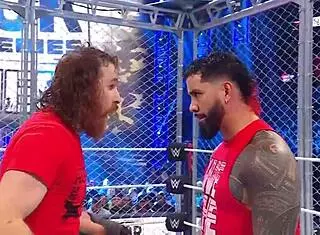 i watched the wargames survivor series 2022