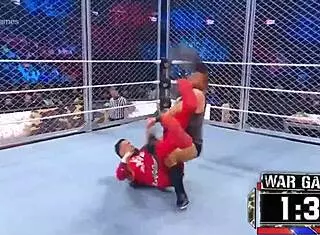 i watched the wargames survivor series 2022