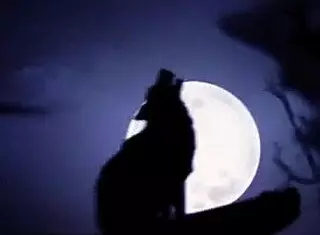 sexy halloween with emily thorne 🎃