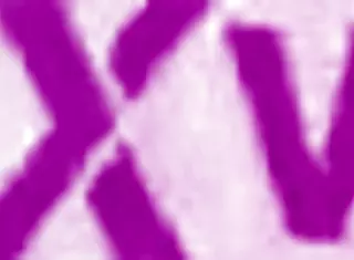 How Delicious You Suck It My Love