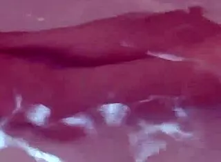 Sayuri Tachibana's amateur divorced adventures