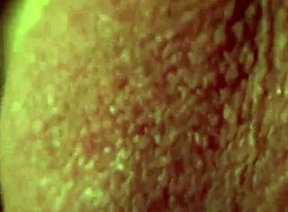 Amateur jerks long with precum, flashing monster cock on bed leading to intense orgasm with exhibitionist vibe.