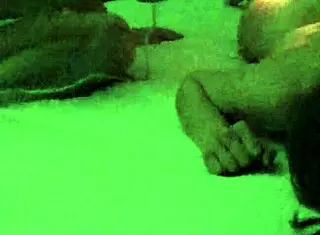 pj daniels endures bdsm shocks in extreme session