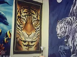 slim brunette babe sucks dick doggystyle