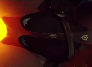 Compilação de Animações