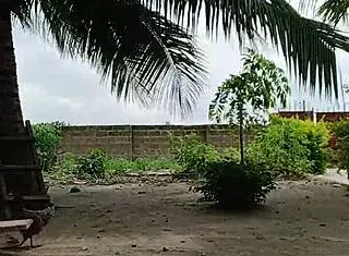 Can You Believe Crazybitch Got a Tortoise as Fan Gift?