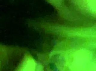 alineflavio - update 120 - 20240807 233035 3 - aug 08 2024