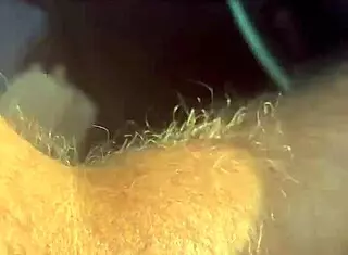 Alinemilf UPDATE 299 On JUL 12 2025