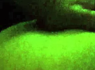 Me Di a Mi Ex y Grita Como Loca 😈