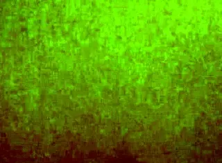 Me Di a Mi Ex y Grita Como Loca 😈