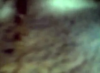 retro clips show barefoot pussy in tiny panties with big ass curvy