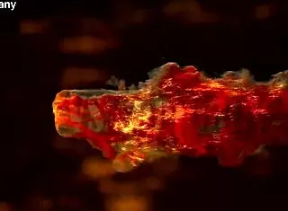 Eva Berger In Hard Anal Session With Creampie