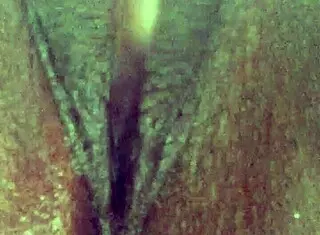 Dumb Ebony Slut from Tinder