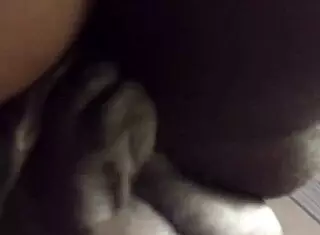 wet pussy dripping during midnight sex with big black cock