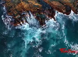 Family Swap Inception With Father In Law Fucking